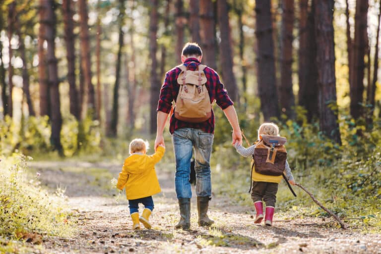 a rear view of father with toddler children walking in an autumn forest.