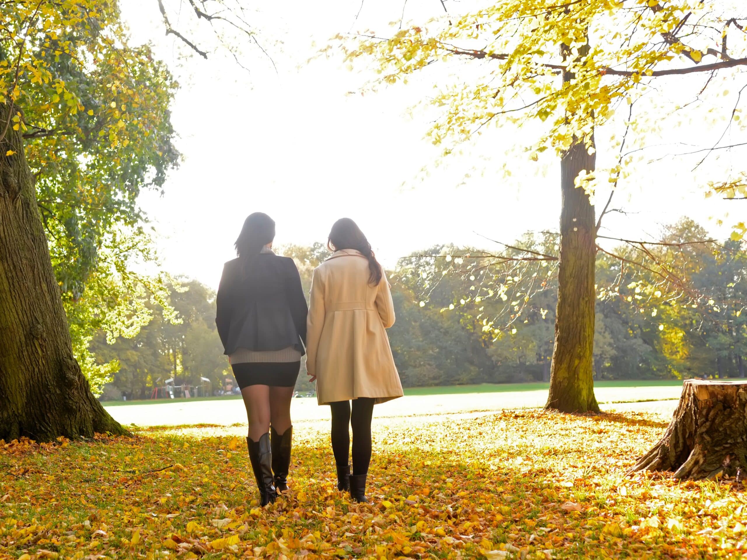 spaziergang im park