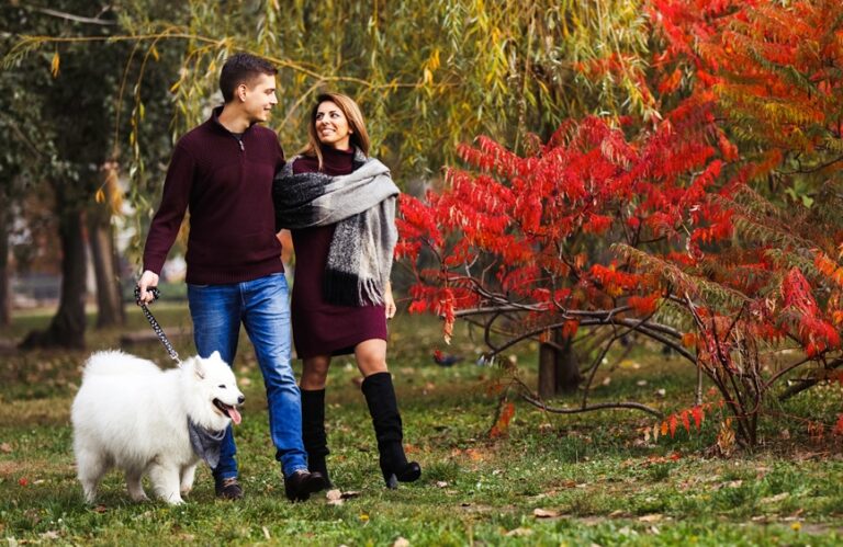 Couple walking a dog in fall